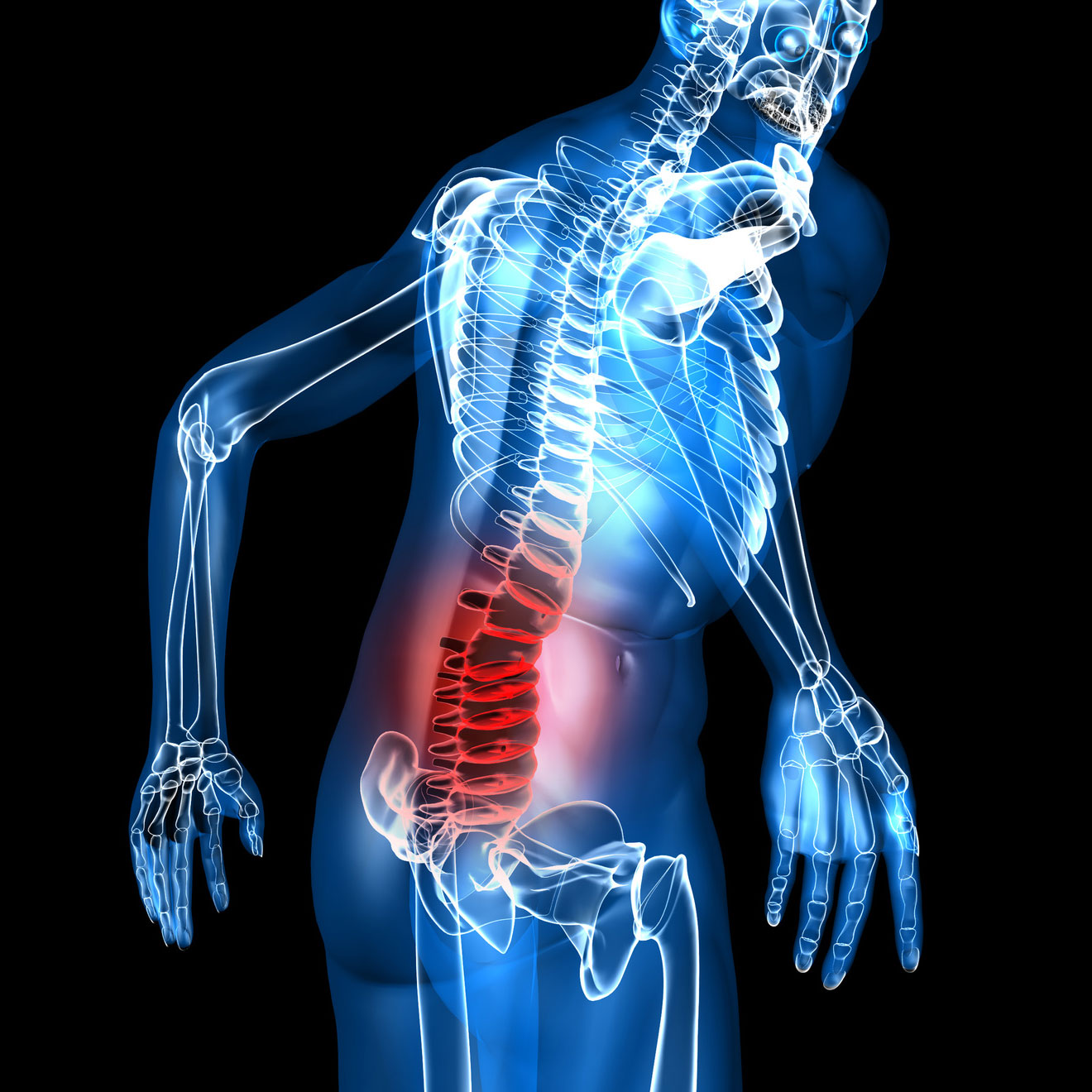 Mal de dos musculaire : Les précautions à prendre pour éviter les maladies du dos